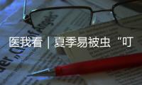 医我看｜夏季易被虫“叮”上？别慌，这样处理才对