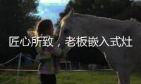 匠心所致，老板嵌入式灶具连续5年全球销量领先