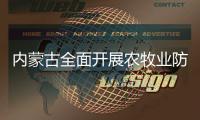 快排公司十年历程，霸屏兔 seo 的崛起与坚守