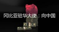 冈比亚驻华大使�：向中国学习如何让人民摆脱贫困