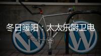 快排公司十年历程，霸屏兔 seo 的崛起与坚守