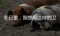冬日里
，我想用这样的卫生间......
