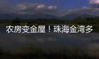 农房变金屋！珠海金湾多措并举盘活闲置农房