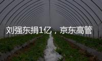 快排公司十年历程，霸屏兔 seo 的崛起与坚守