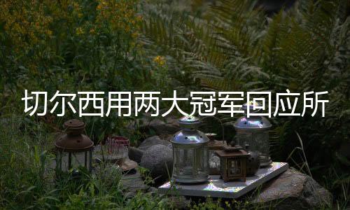 加冕世界冠军的冠军功头衔