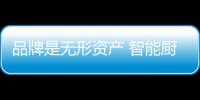 快排公司十年历程，霸屏兔 seo 的崛起与坚守