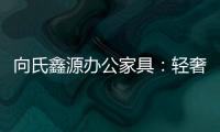 向氏鑫源办公家具�：轻奢高级，演绎城市办公新美学