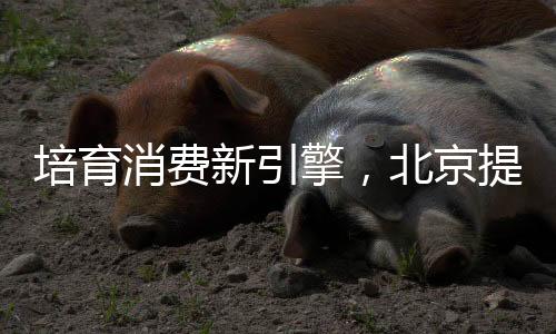 ”小媛给记者出示了一张图片
