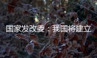 国家发改委：我国将建立和实施育儿补贴制度