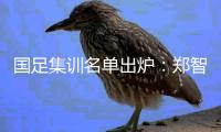 国足集训名单出炉：郑智落选 两U23新星入选