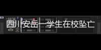 快排公司十年历程，霸屏兔 seo 的崛起与坚守