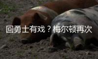 快排公司十年历程，霸屏兔 seo 的崛起与坚守