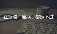 在新疆“连猴子都翻不过的山”	，查缉�、抢险和反恐维稳