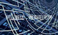 快排公司十年历程，霸屏兔 seo 的崛起与坚守