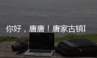 你好
，唐唐！唐家古镇IP形象创意征集赛结果揭晓→