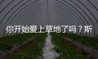 你开始爱上草地了吗？斯瓦泰克
：是的
，今年有趣多了
