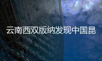 云南西双版纳发现中国昆虫新纪录科——丝蝽科