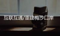 快排公司十年历程，霸屏兔 seo 的崛起与坚守