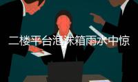 二楼平台泡沫箱雨水中惊现古老物种“仙女虾” 专家：虫卵或随鸟粪而来