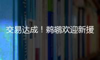 交易达成！鹈鹕欢迎新援萨迪克