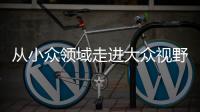 从小众领域走进大众视野 整理收纳师走俏为哪般？