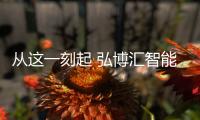 快排公司十年历程，霸屏兔 seo 的崛起与坚守