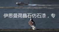 快排公司十年历程，霸屏兔 seo 的崛起与坚守