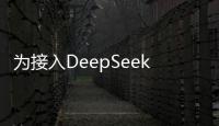 快排公司十年历程，霸屏兔 seo 的崛起与坚守