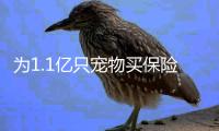 为1.1亿只宠物买保险：如何证明“我的狗是我的狗”