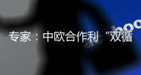 专家：中欧合作利“双循环”运转
