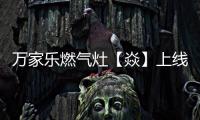 快排公司十年历程，霸屏兔 seo 的崛起与坚守