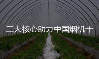 快排公司十年历程，霸屏兔 seo 的崛起与坚守