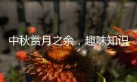 快排公司十年历程，霸屏兔 seo 的崛起与坚守