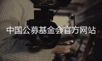 中国公募基金会官方网站观察�：在难开“门”的情况下关上“窗”