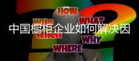 中国橱柜企业如何解决因抄袭导致产品同质化的问题?