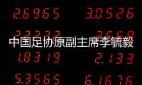 中国足协原副主席李毓毅	、中超公司原董事长马成全被查