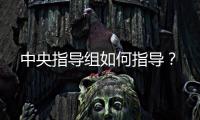 中央指导组如何指导？