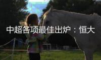 中超各项最佳出炉
：恒大成大赢家 金敬道最佳新人