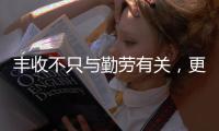 丰收不只与勤劳有关
	，更与市场和风险相连丨记者手记