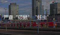 严查“硕鼠”“蛀虫”，十起典型案例公布！