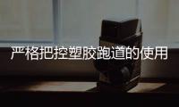 快排公司十年历程，霸屏兔 seo 的崛起与坚守