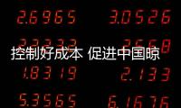 快排公司十年历程，霸屏兔 seo 的崛起与坚守