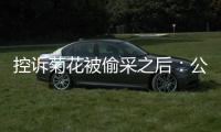 控诉菊花被偷采之后：公安出警
、村干部下田维持秩序