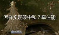 怎样实现碳中和�？牵住能源牛鼻子
