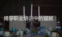 揭穿职业培训中的猫腻�	：靠训吃训肆意敛财