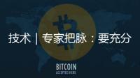 快排公司十年历程，霸屏兔 seo 的崛起与坚守