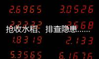 抢收水稻	、排查隐患……台风登陆后 浙江各地抢险救灾进行时