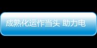 成熟化运作当头 助力电动车快速融入市场