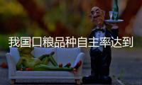 快排公司十年历程，霸屏兔 seo 的崛起与坚守