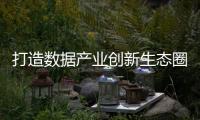 快排公司十年历程，霸屏兔 seo 的崛起与坚守